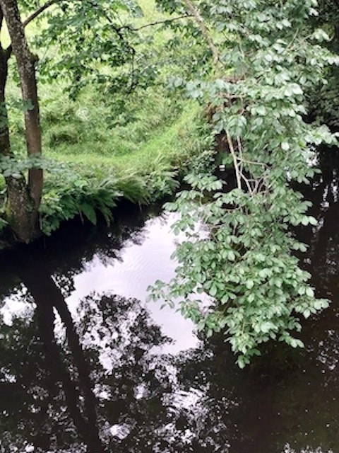 Wath Bridge. Wath Bridge. A popular tourist spot – a steep very narrow stone humpbacked bridge on the road leading to the Sportsmans Hotel. Team 3’s first sampling spot. Peaty-coloured, fairly still water just above where Dauber Gill joins the Nidd