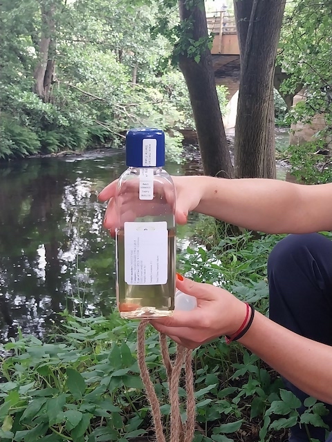 Pateley Main Bridge. Pateley Main Bridge. Sampling spot just upstream of the main road bridge (in photo). Fairly still water. Some patches of foam observed, trapped under branches