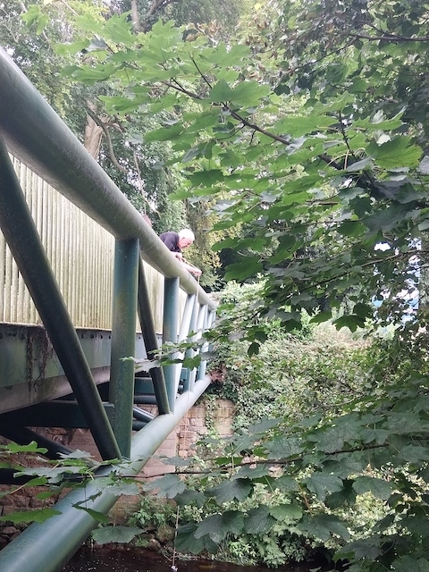 Glasshouses Bridge. Volunteer Steve takes samples from the fairly shallow water under the bridge, just off the main road between Pateley Bridge and Summerbridge