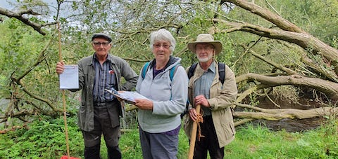Cragg Hall Farm -Upstream. Team 5’s volunteers Chris, Maggie and John prepare to sample above the Sewage Farm between Hampsthwaite and Killinghall. River running high. A fallen willow tree regarded as a possible flood risk (but excellent for trout protection (Ed))