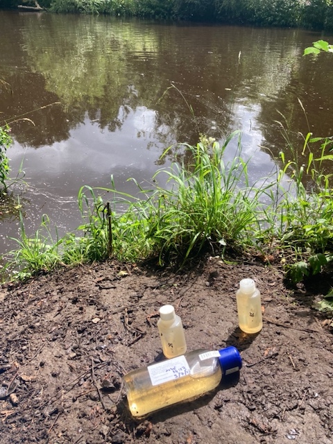 Conyngham Hall above CSO