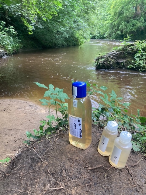 Waterside car park mill stream tributary. Left of the island, below the visible pipe.