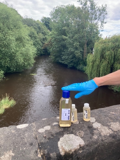 Along Abbey road, above CSO. From the bridge (Mother Shipton side)