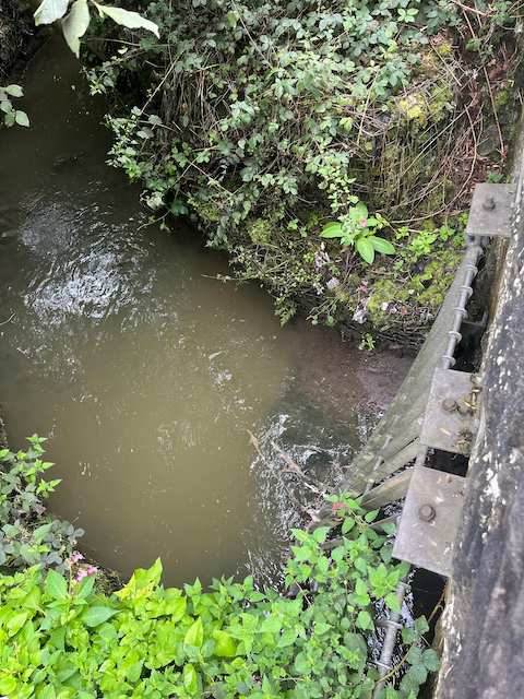 Rudbeck near Stonefall cemetery. Downstream grill has debris. Smell of sewage reported to EA