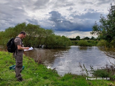 Moor Monkton. River high, in flood. Samples from the bank